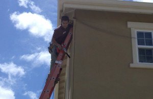 bird removal netting control