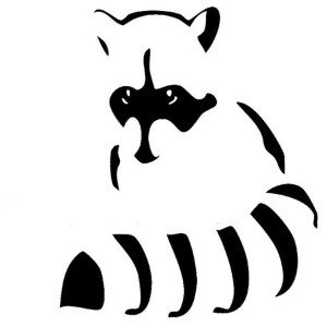 raccoon website