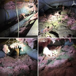 attic insulation