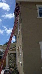 bird removal netting control