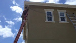 bird removal netting control