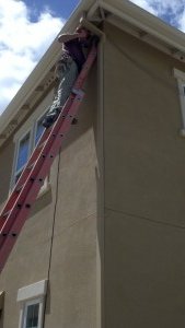 bird removal netting control