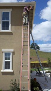 bird removal netting control