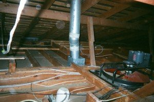 insulation cleanup raccoon