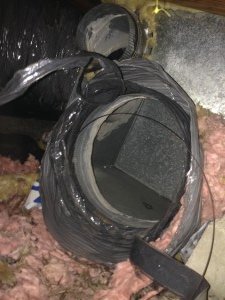 raccoon duct attic