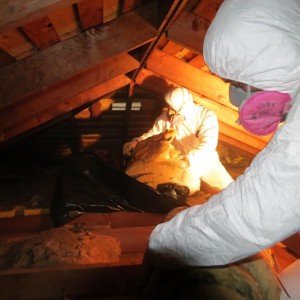 attic cleanup
