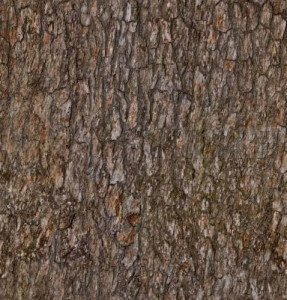 wood